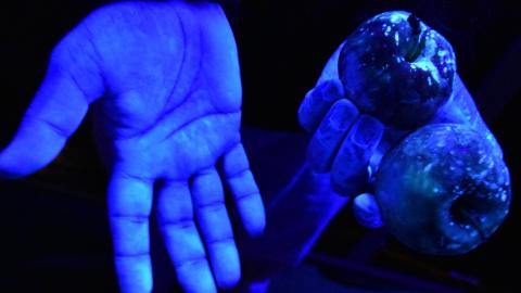 image of hands glowing in fluorescent light